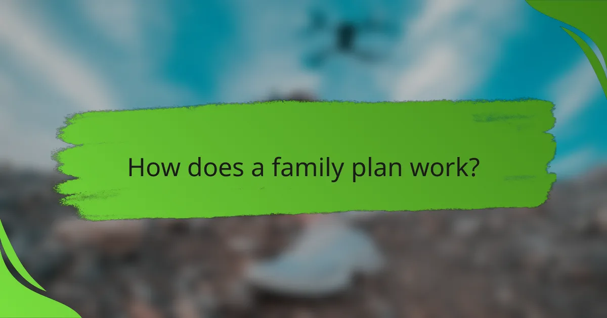 How does a family plan work?