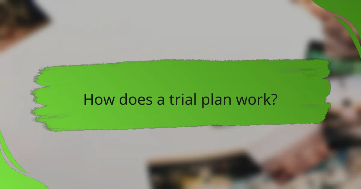 How does a trial plan work?