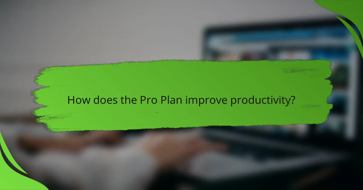 How does the Pro Plan improve productivity?