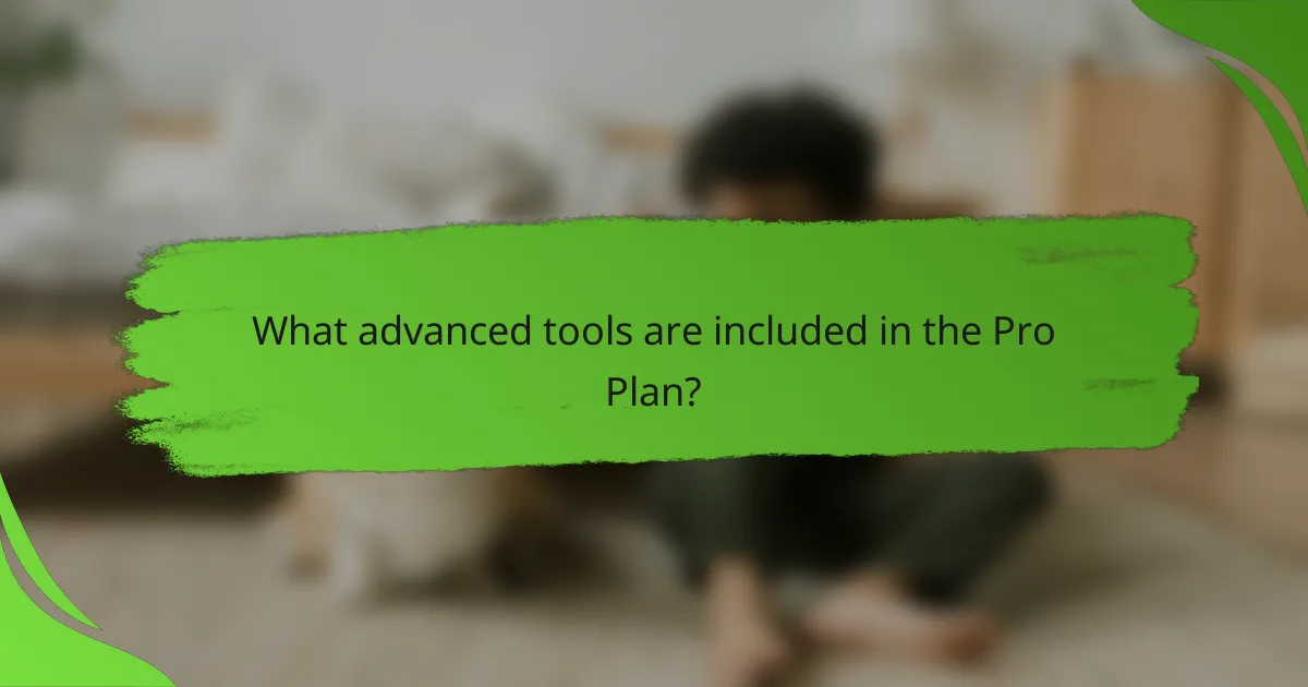 What advanced tools are included in the Pro Plan?
