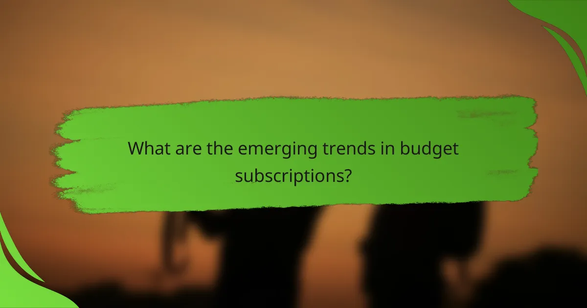 What are the emerging trends in budget subscriptions?