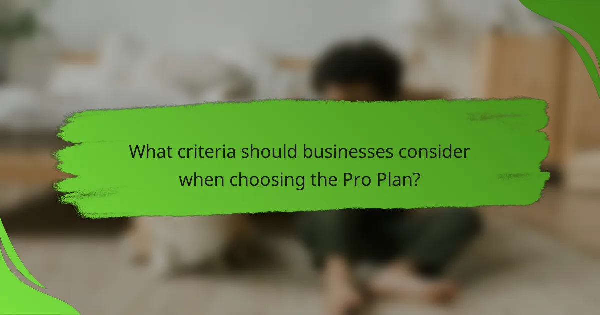 What criteria should businesses consider when choosing the Pro Plan?
